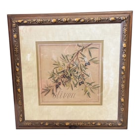 Vintage Framed Olive Branch Watercolor by French Artist Vincent Jeannerot