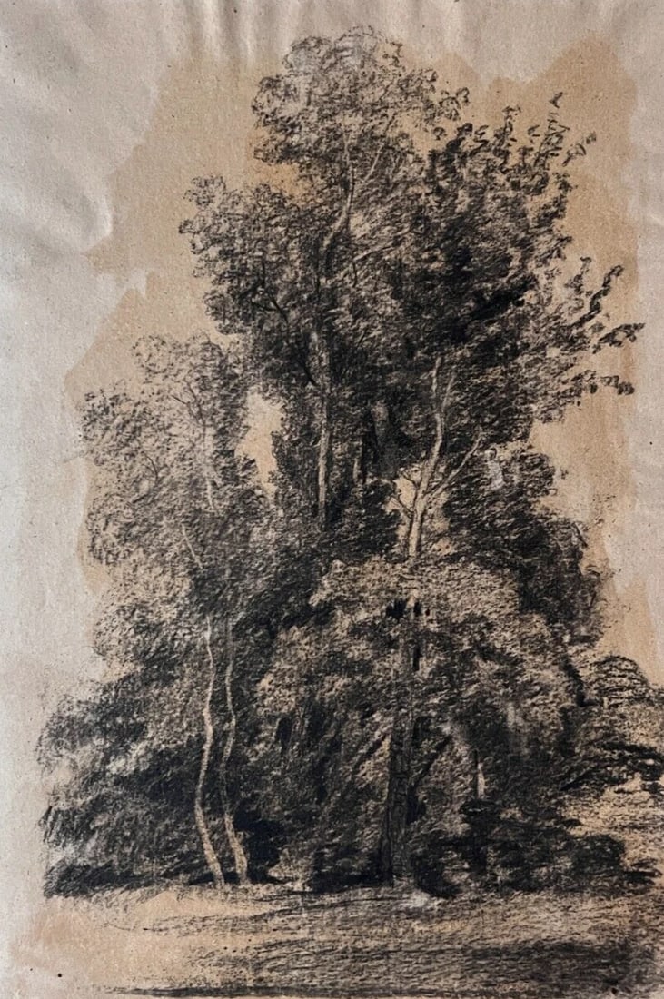 Antique Original Drawing Landscape, Trees, Aubry Forest 19th century 1870 (1 of 9)