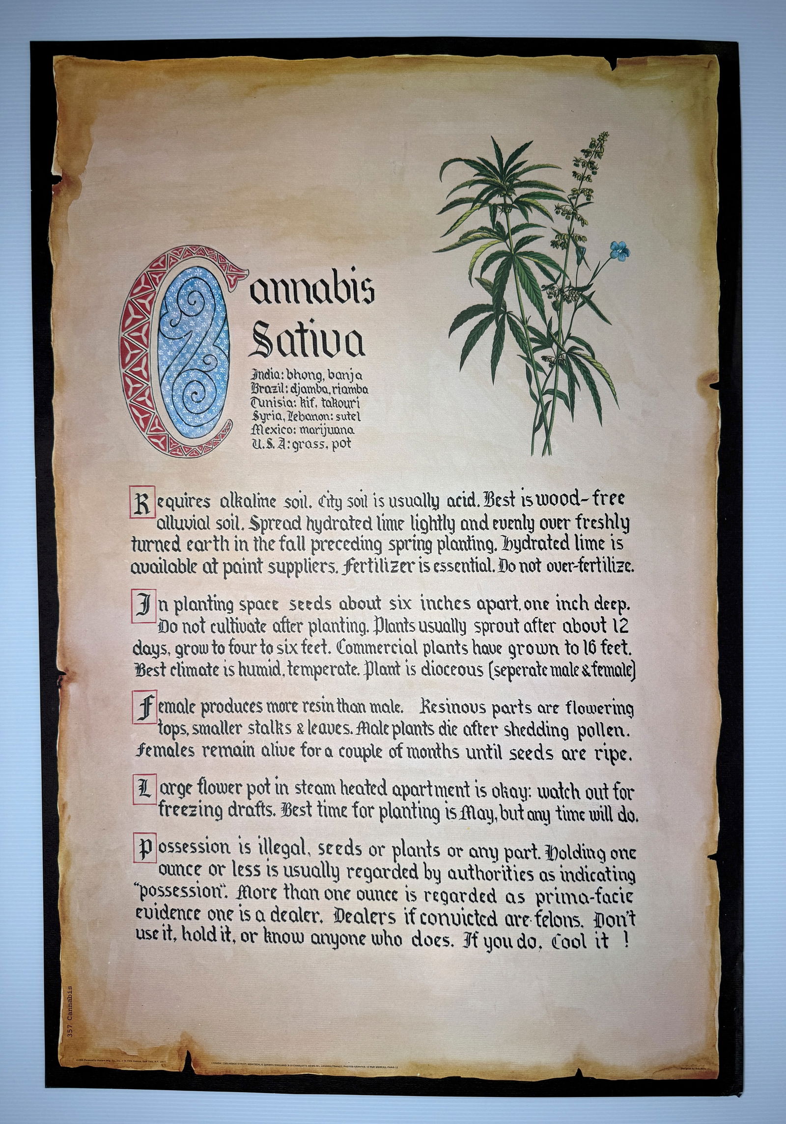 1968 CANNIBIS POSTER: Title: 1968 CANNIBIS POSTER Description: 1968 CANNIBIS POSTER. ABOUT 20 X 26. PERSONALITY POSTER COMPANY. GREAT FOR YOUR WEED SALES SHOP OR HEAD SHOP Reserve: $5.00 Shipping: Domestic: Flat-rate of $1