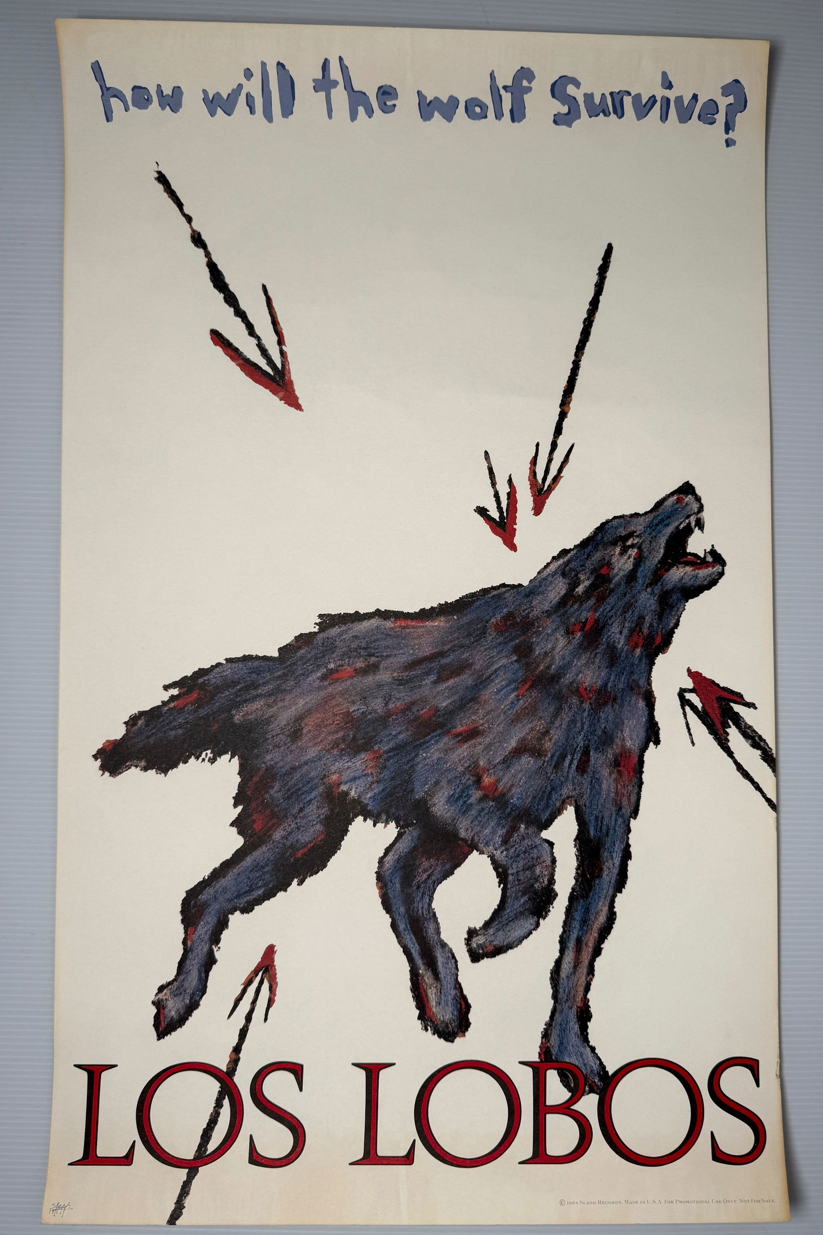 LOS LOBOS - HOW WILL THE WOLF SURVIVE? (1 of 1)