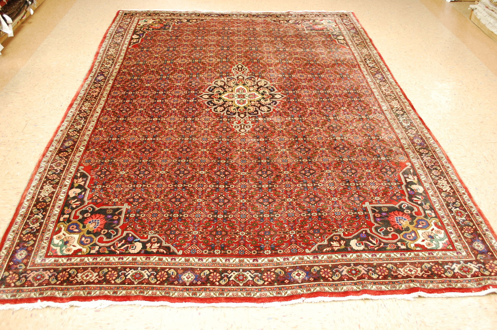 Persian BIJAR RUG 7'x10' (1 of 12)