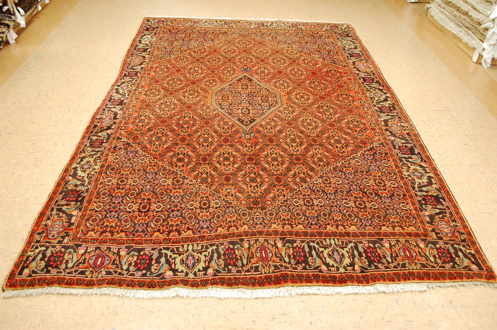 Persian BIJAR RUG 6.7x10.3 (1 of 11)