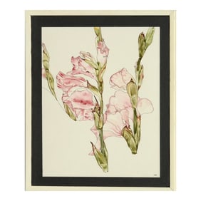 Gladiolas - Botanical Study by Deborah Eddy