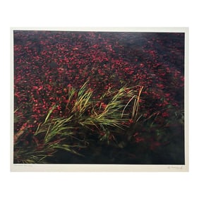 Original John Wawrzonek 'cranberry Bog' New England Landscape Signed Photograph