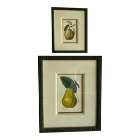 Late 19th Century Vintage Fruit Print, Pear & Apple, Framed - Set of 2