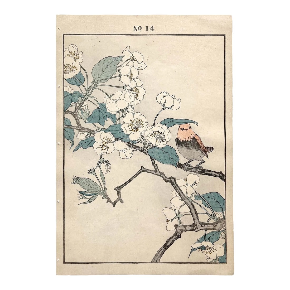 Imao Keinen, "Pear Blossoms and Rufous-Tailed Robin," 1891 First-Edition Antique Japanese Woodblock (1 of 3)