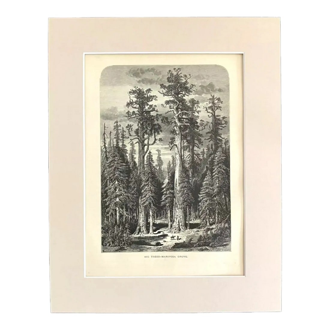 Antique 1874 Wood Engraving "Big Trees, Mariposa Grove", CA in 11x14 Mat: Up for sale is this beautiful antique print from Volume I of "Picturesque America", a two-volume set of books describing and illustrating the scenery of America that grew out of an earlier series in "