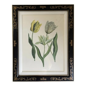 Scully & Scully Tulip Mania #991 Lithograph