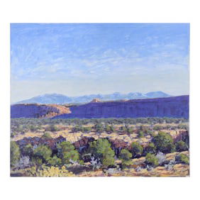 Canyonland - Western Plein Aire Landscape Acrylic on Board by Nick White