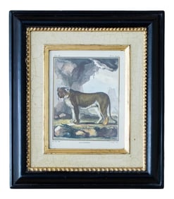 Late 20th Century "La Lione" Reproduction Print, Framed