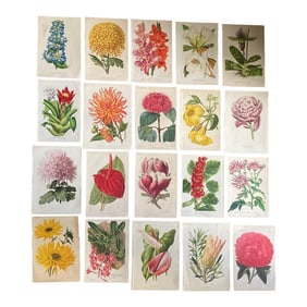 Set of 20 Color Botanical Prints From the 19th Century.