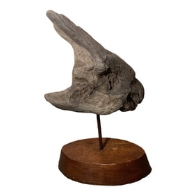 Mid Century Modern Abstract Natural Driftwood Sculpture Features Striking Organic Curves Costa Rica