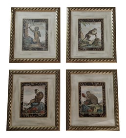 Late 20th Century Hand-Colored Engravings of Monkeys After G. Buffon, Framed - Set of 4