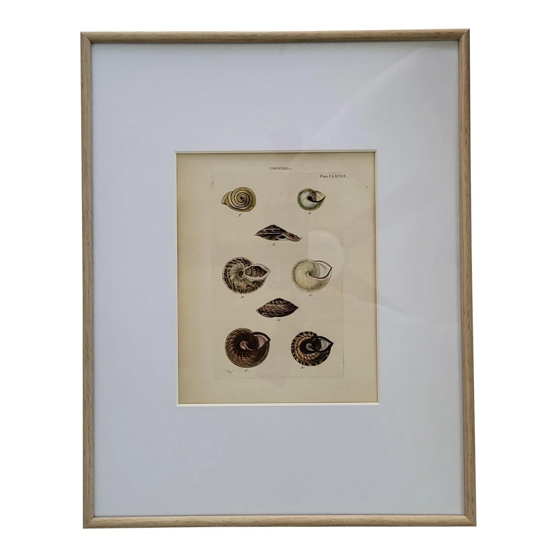Early 1900s Framed Carocolla Shell Art Engraving (1 of 7)