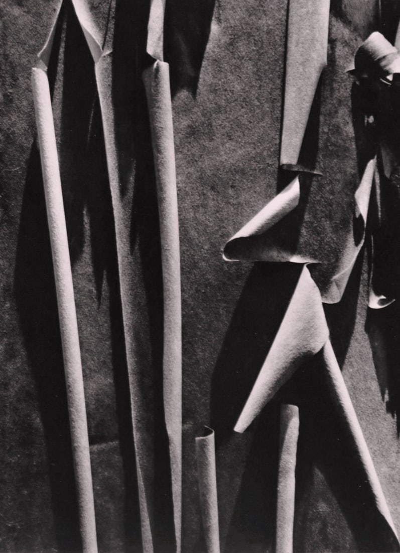 ANSEL ADAMS - Madrone Bark (1 of 1)