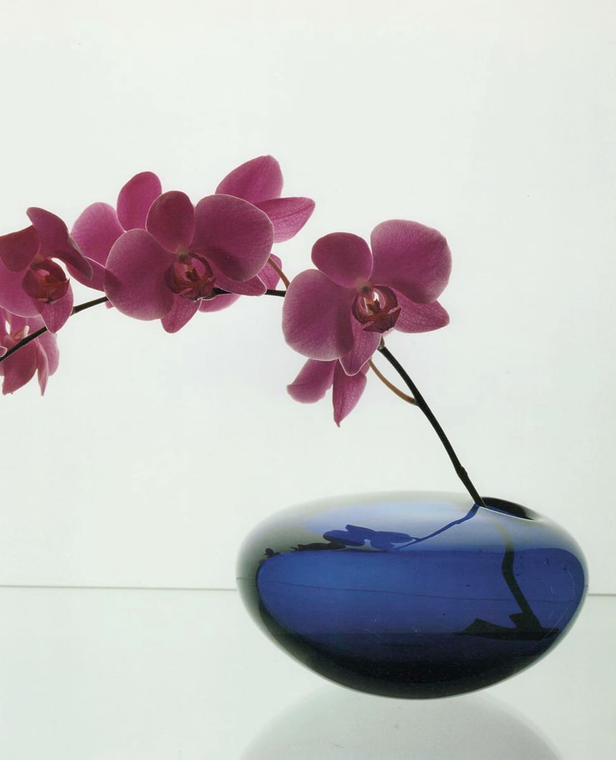 MAPPLETHORPE - Orchids 1985: Title: MAPPLETHORPE - Orchids 1985 Description: Artist: MAPPLETHORPE Print Title: Orchids 1985 Medium:Photo-lithograph Printed 1990s in Italy Image size (inches) approx. 11 x 9” Robert Mappletho