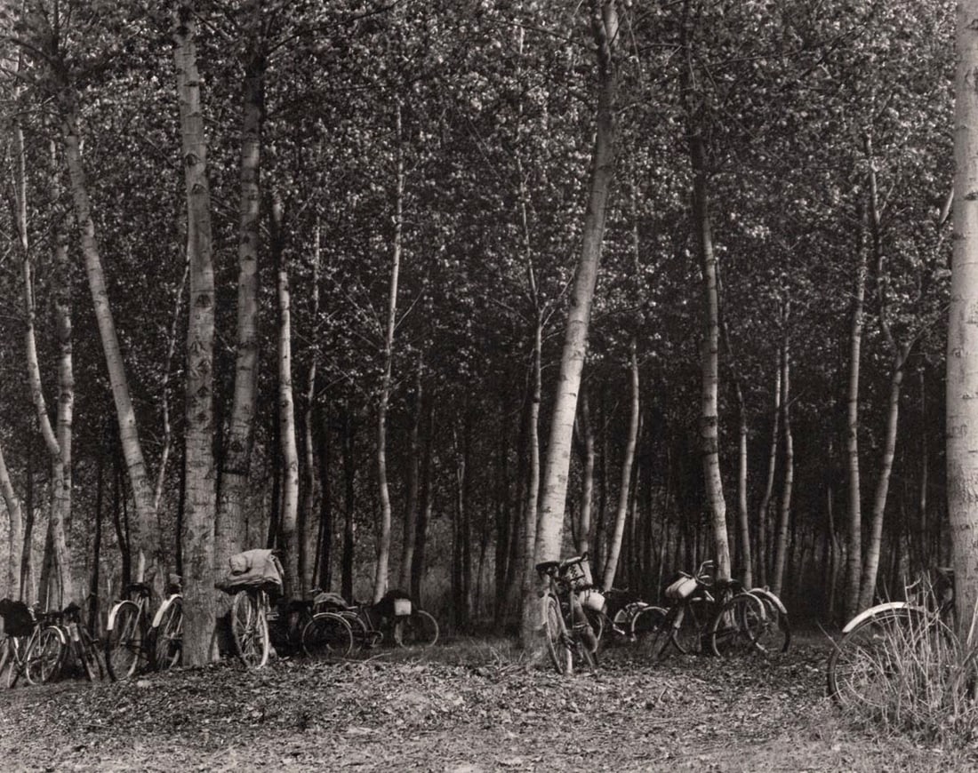 PAUL STRAND - Workers’ Bicycles, Luzzarra, Italy, 1953: Title: PAUL STRAND - Workers’ Bicycles, Luzzarra, Italy, 1953 Description: Artist: PAUL STRAND Print Title: Workers’ Bicycles, Luzzarra, Italy, 1953 Printing Date: 1970s in the US Medium: