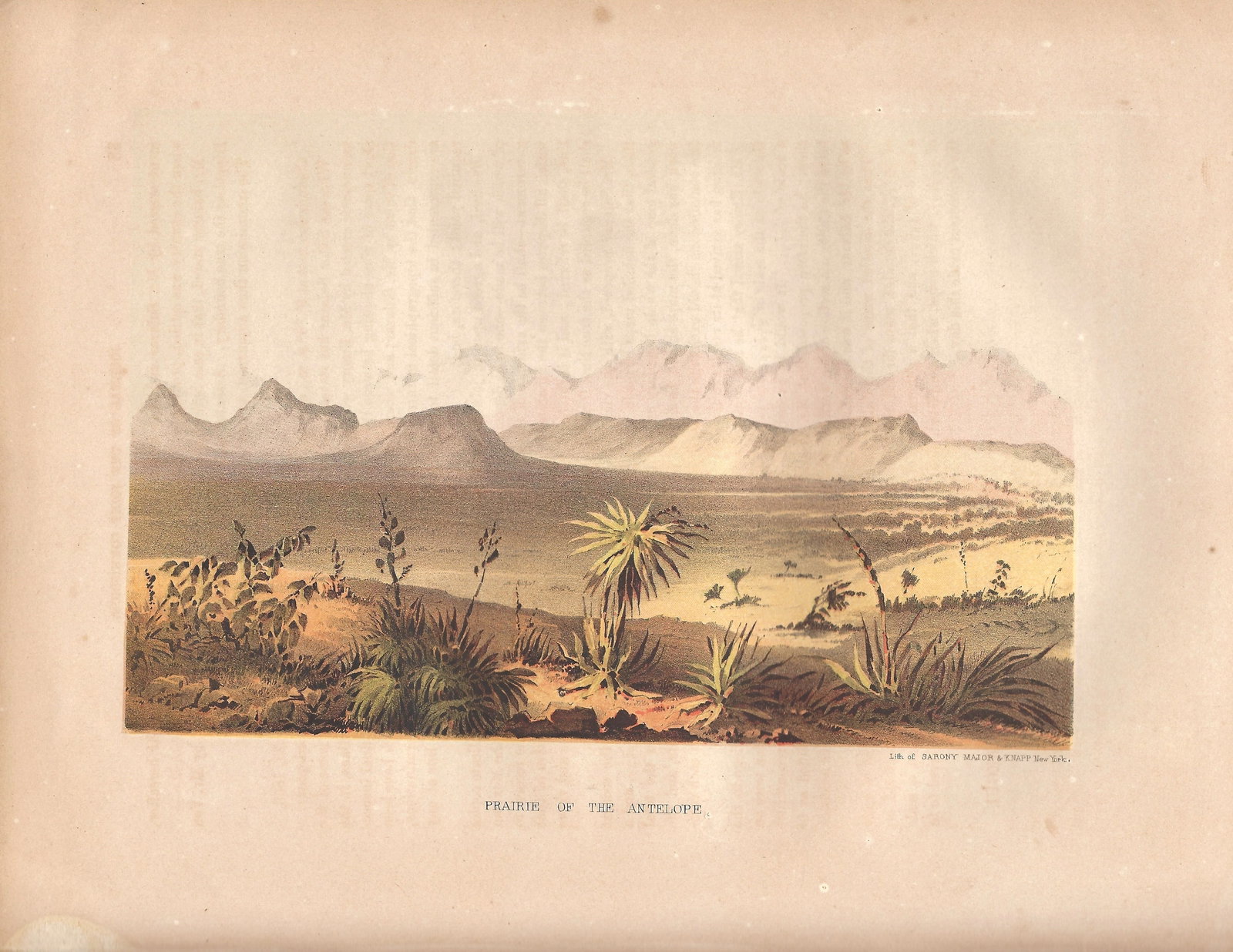 1858 Emory view of the Praire of the Antelope, AZ -- Praire of the Antelope (1 of 1)