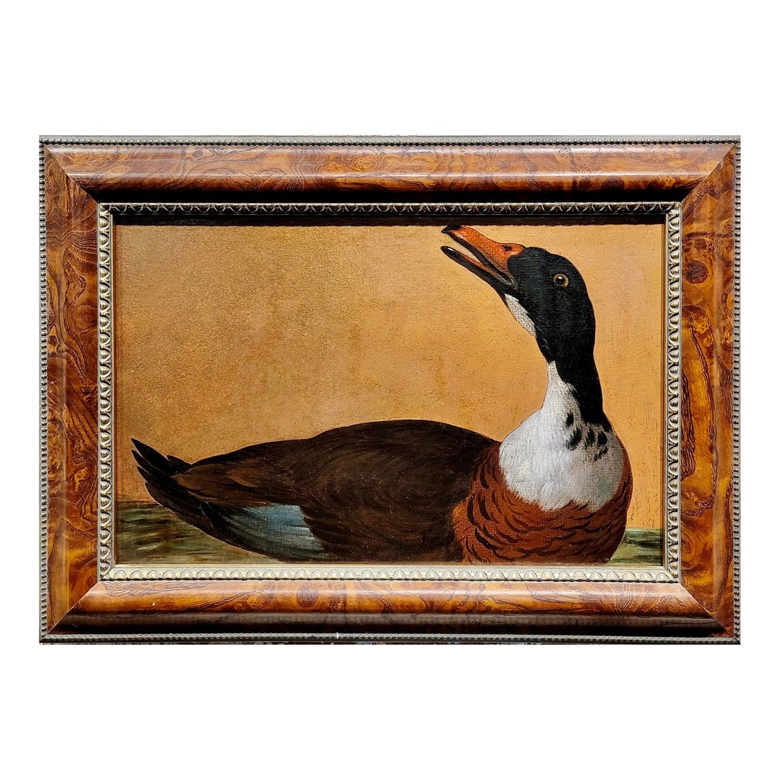 19th Century Study of a Colorful Goose Oil Painting (1 of 8)