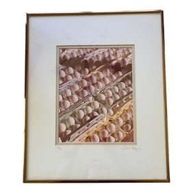 1970s Pop Art Egg Carton Still Life Signed Photograph, Framed