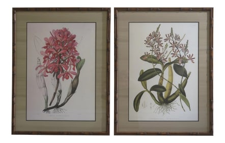 Framed and Matted Botanical Prints - a Pair