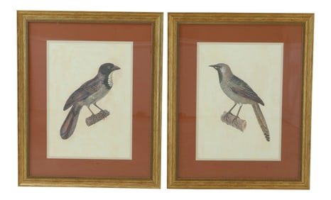 Large Framed & Matted Colored Bird Prints - a Pair