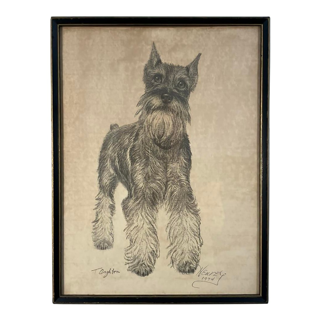 Vintage 1974 Dog Portrait Drawing by T. Daughton – Schnauzer Pet Portrait-'Henry' (1 of 4)