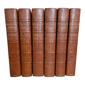 1990s Morris History of British Birds Books, 6 Volumes