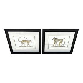 Soicher Marin Pair of Monkey Prints