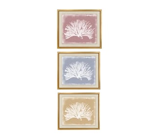Trowbridge "Coloured Corals" Prints Set of Three