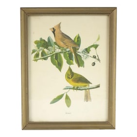 Cardinal Botanical Bird Print