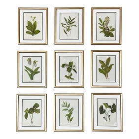 Botanical Prints Framed-Set of 9 - Authentic 1975 Vintage Prints