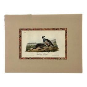 Original California Patridge by John James Audubon, 1842