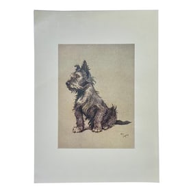 Cairn Terrier Dog by Cecil Aldin, 1928
