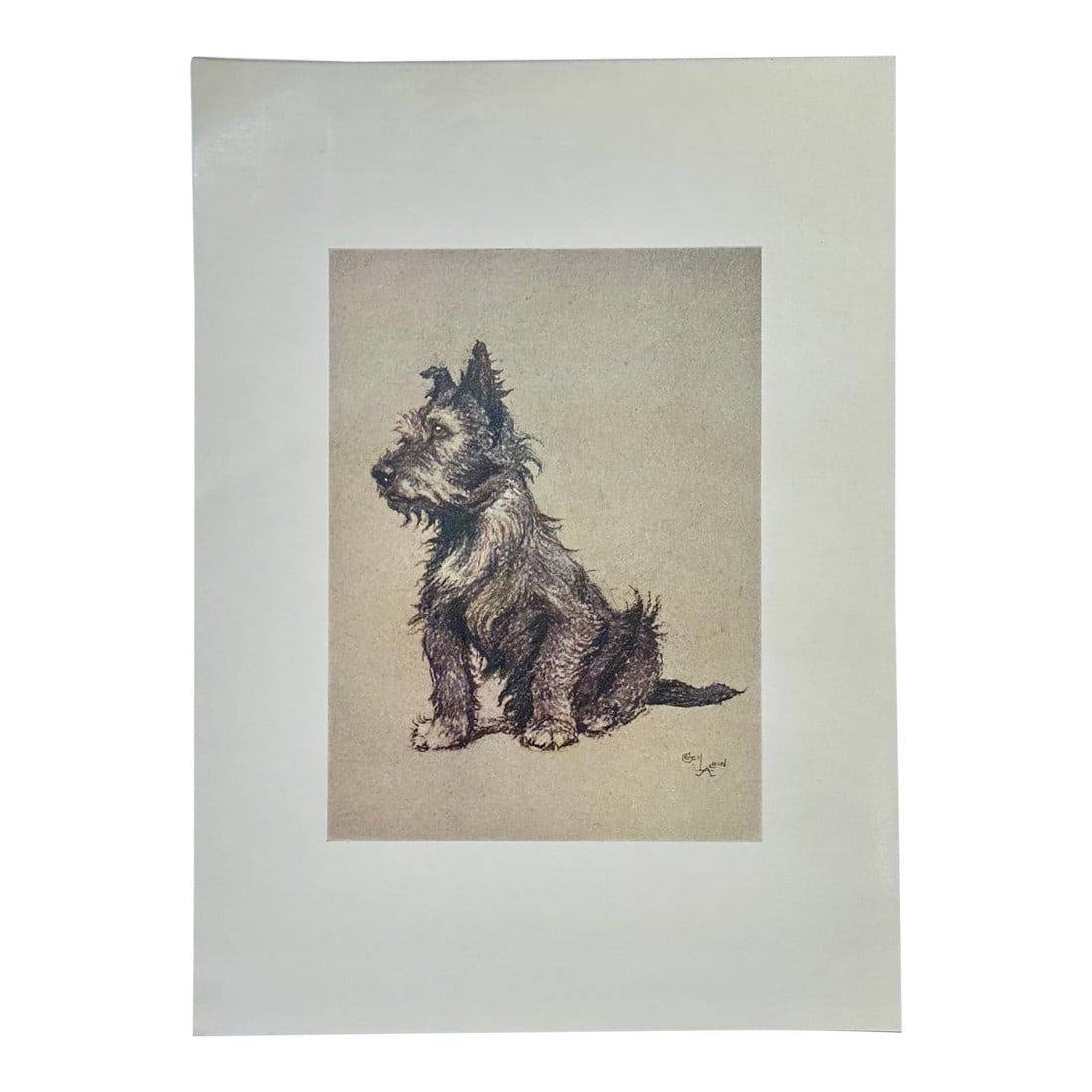 Cairn Terrier Dog by Cecil Aldin, 1928: Original print from "A Dozen Dogs or So" by Cecil Aldin, 1928. Aldin was a British artist and illustrator known for his paintings and sketches of animals, sports and rural life. Dimensions: 9 1/2 x 7"