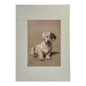 Sealyham Terrier Dog by Cecil Aldin, 1928