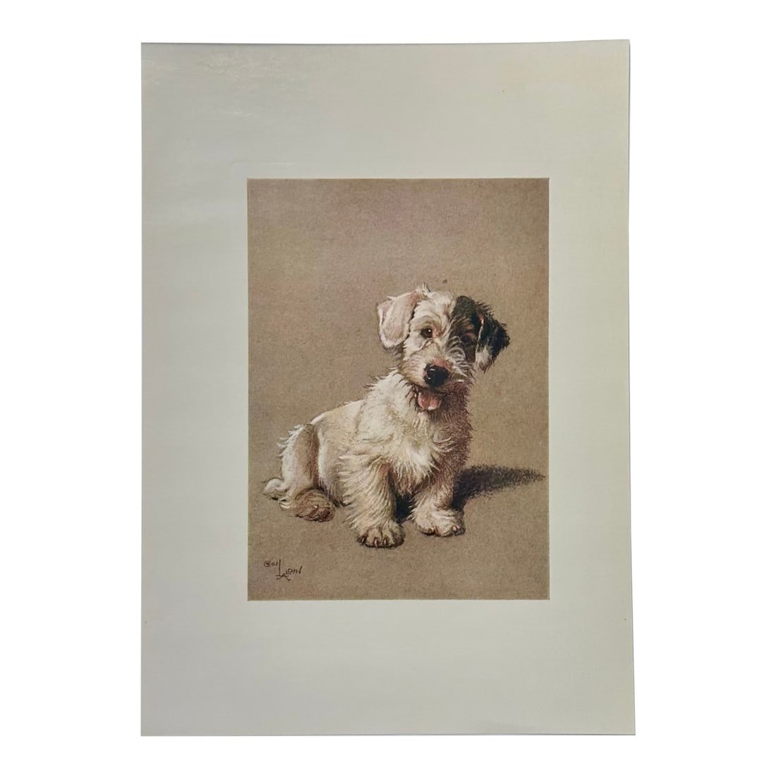 Sealyham Terrier Dog by Cecil Aldin, 1928: Original print from "A Dozen Dogs or So" by Cecil Aldin, 1928. Aldin was a British artist and illustrator known for his paintings and sketches of animals, sports and rural life. Dimensions: 9 1/2 x 7"