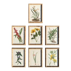 Framed Antique Chromolithographs Set of 7 From "Wild Flowers of America", Series II Volume Ii, L. Pr