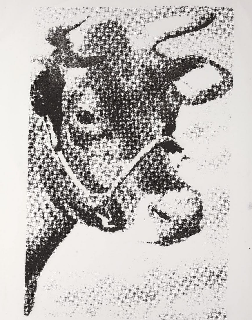Andy Warhol Cow Poster: Title: Andy Warhol Cow Poster Description: Andy Warhol Cow Poster measuring at 43.5x35 inches Dimensions: 43.5x35" Reserve: $90.00 Shipping: Domestic: Flat-rate of $35.00 to anywhere within the contig