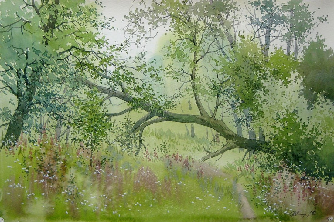 Watercolor painting Fallen tree Kalebets Valery (1 of 5)