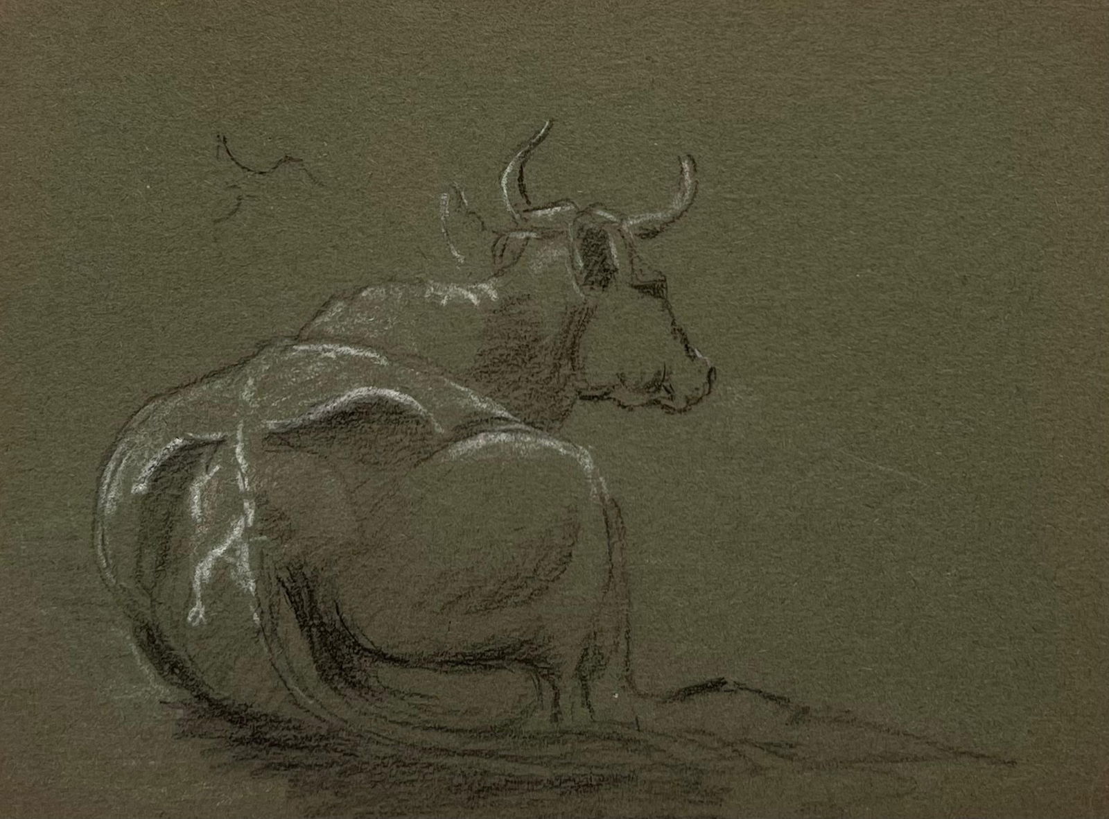 John Rabone Harvey; British Chalk Pencil Sketch of a Back Facing Large Cow With Horns Lying Down,: Title: John Rabone Harvey; British Chalk Pencil Sketch of a Back Facing Large Cow With Horns Lying Down, 1966 Description: John Rabone Harvey ( 1966 - 1922) graphic and chalk deep green artist paper ,
