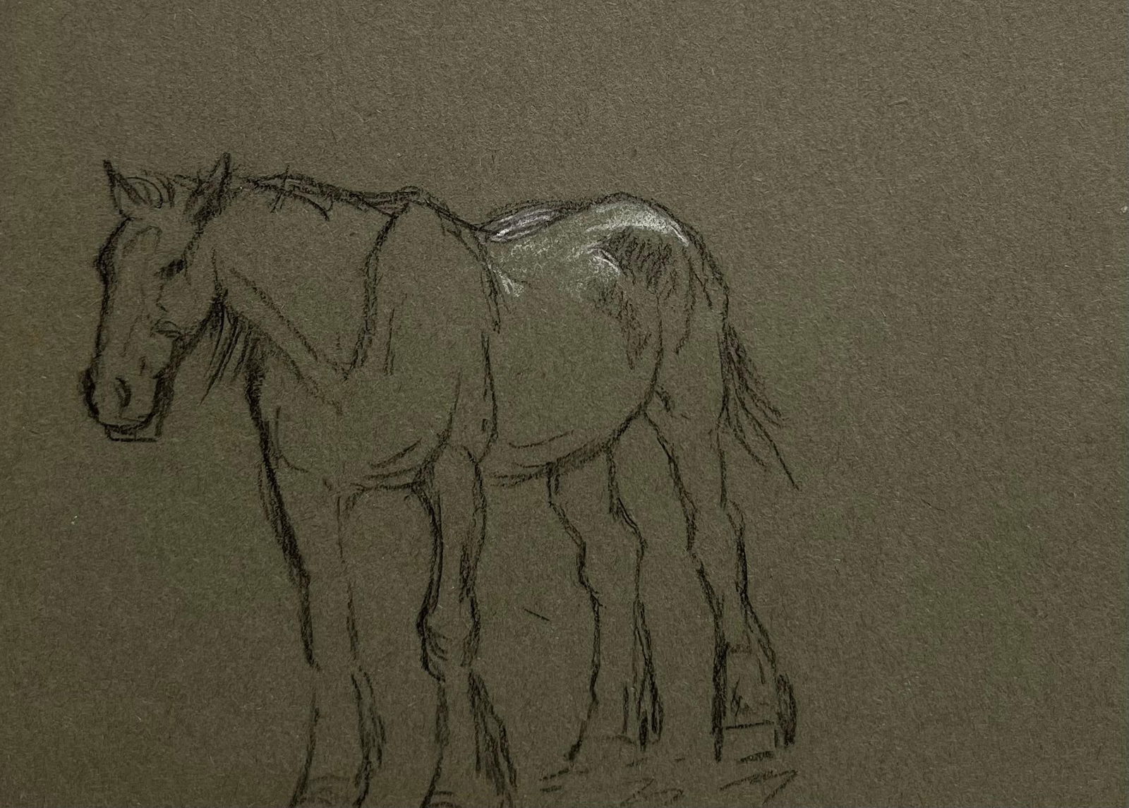 John Rabone Harvey; British Chalk Sketch of A Young Horse with White Markings, 1966 (1 of 18)
