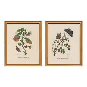 Pair of Italian Hand-Colored Botanical Engravings With Butterflies, Florence Italy