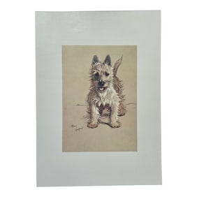 West Highland Terrier Dog by Cecil Aldin, 1928