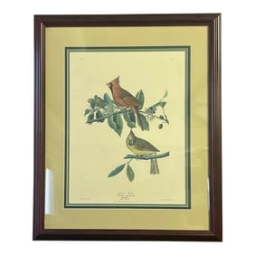 Vintage Audubon Society Cardinal & Grosbeak Framed Print - 24x29 Bird Art