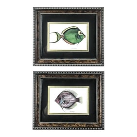 Burl-Wood Framed Pair of Tropical Fish Prints by Jean Cassady