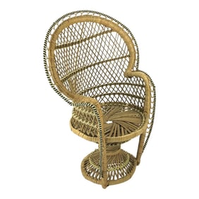 Large Rattan Chair Plant Stand Display