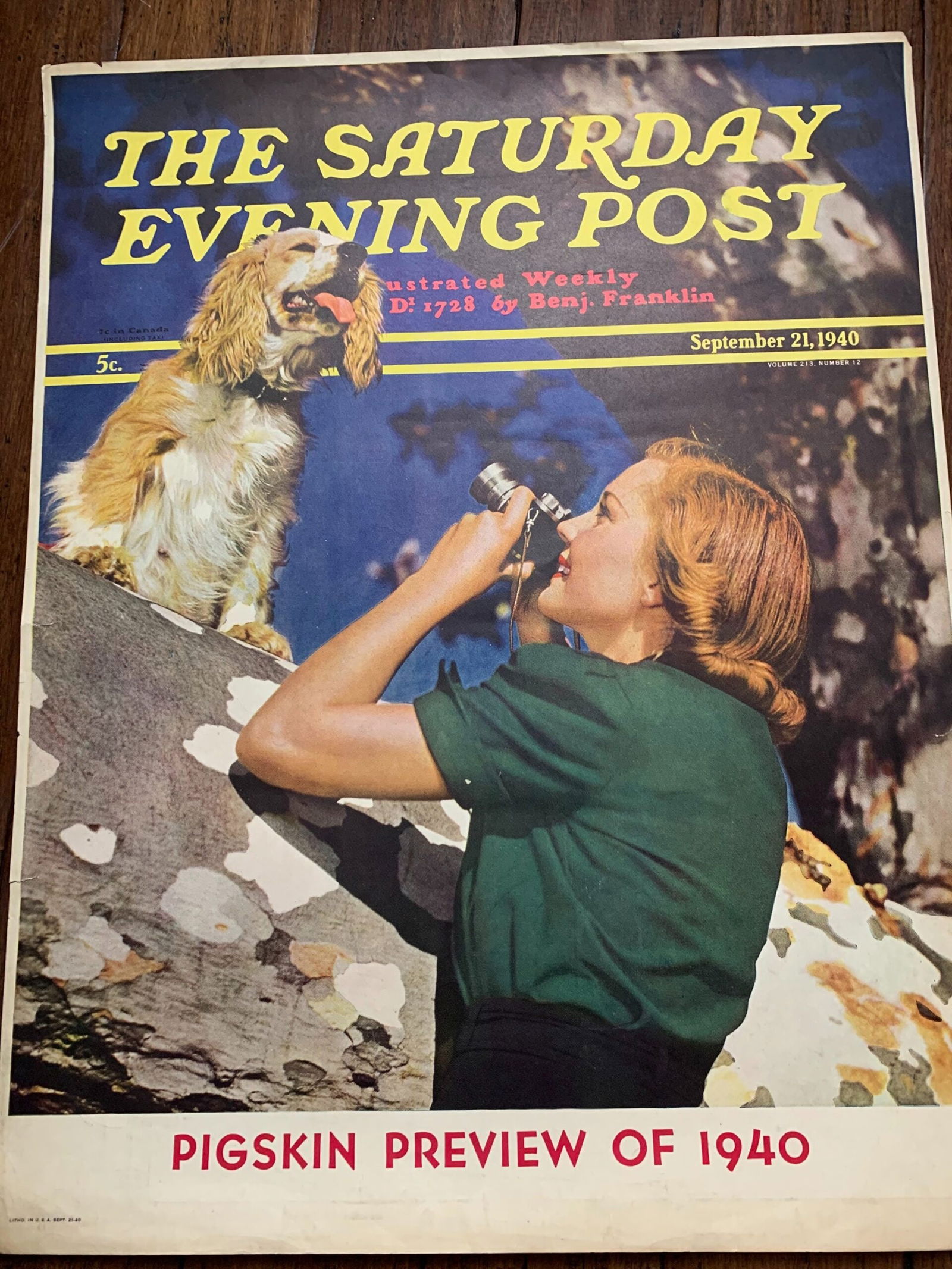 22x28 1940 Newstand Poster Saturday Evening Post - Art By M.m. Herrick woman Shooting Photo Of Dog