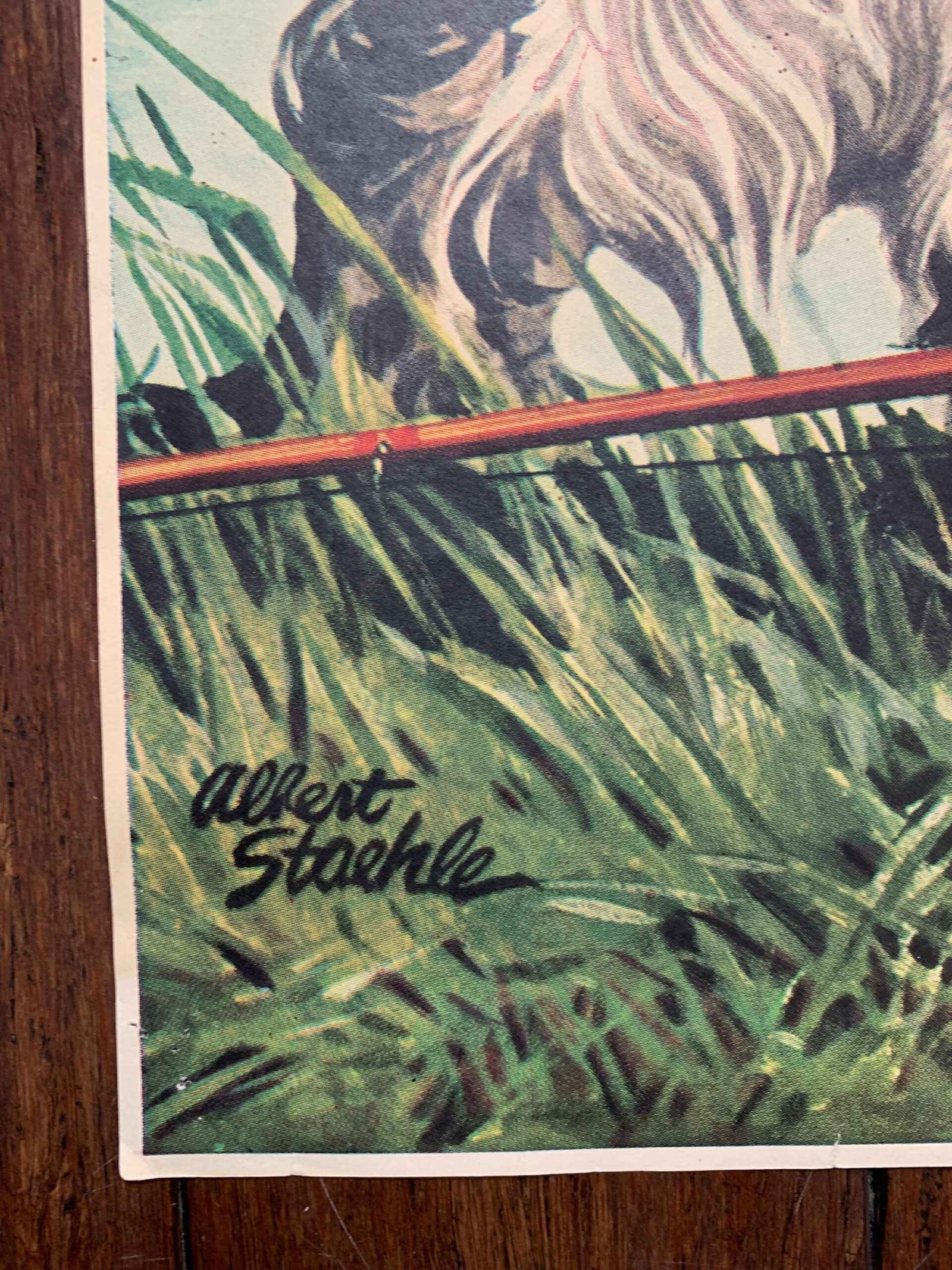 22x28 1948 Newstand Poster Saturday Evening Post - Art By Albert Staehle butch Fishes For A Shoe - 3