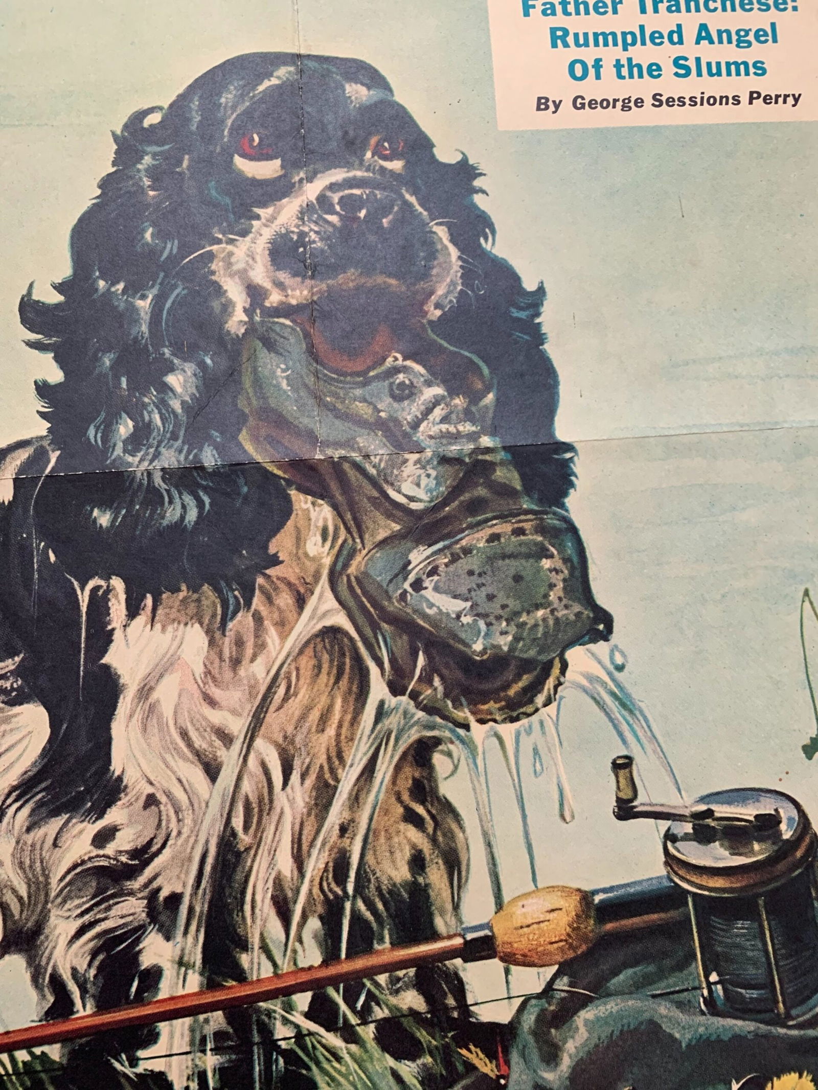 22x28 1948 Newstand Poster Saturday Evening Post - Art By Albert Staehle butch Fishes For A Shoe - 4